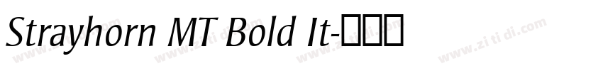 Strayhorn MT Bold It字体转换